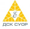 logo_DSK2