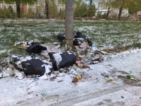 Не надо надеяться, что мусор скоро спрячет снег.
