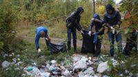 В Чебоксарах ликвидированы 63 из 72 стихийных свалок. Фото cap.ru