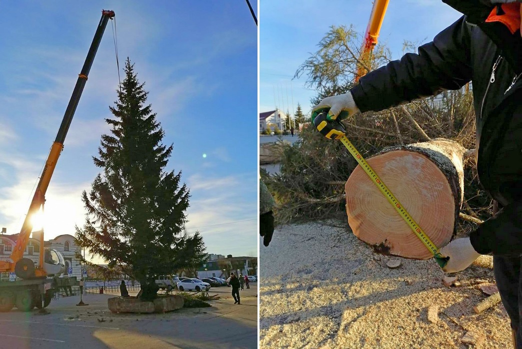 В Чебоксарах устанавливают новогодние елки