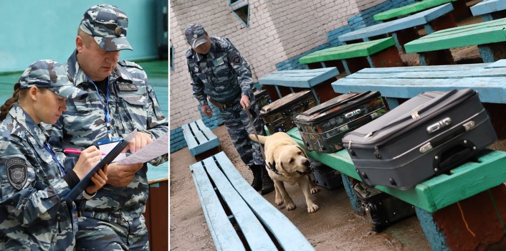 В Чувашии проходит чемпионат МВД России среди кинологов со служебными собаками
