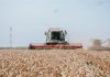 Росстат подтвердил рекордный урожай в Чувашии