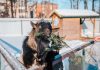 105 елей сдали чебоксарцы в зооуголок «Ковчег» в ходе традиционной послепраздничной акции