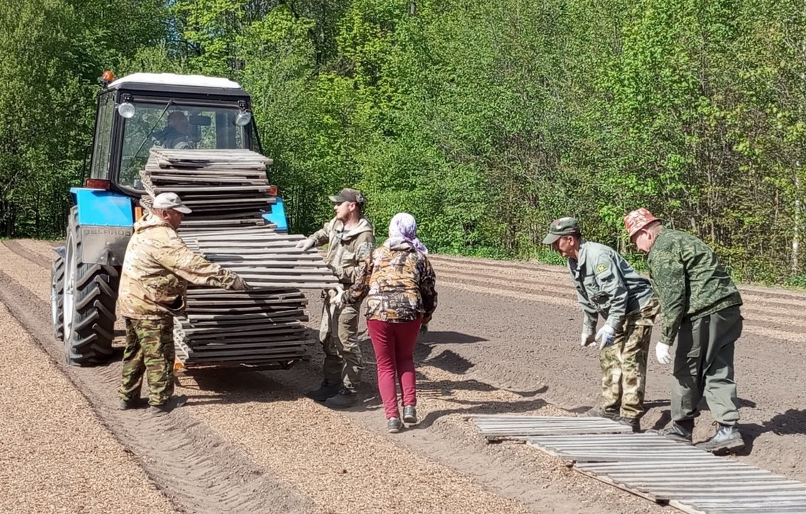 В Аликово земли свалки вернули в оборот, а в Мариинско-Посадском округе  растят лес — Советская Чувашия